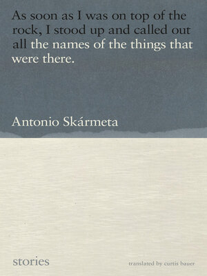 cover image of The Names of the Things That Were There